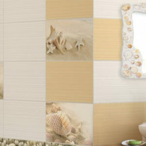 ФРЕЗИЯ РАКУШКА